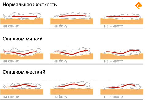 Необходимая жесткость матраса при болях в спине